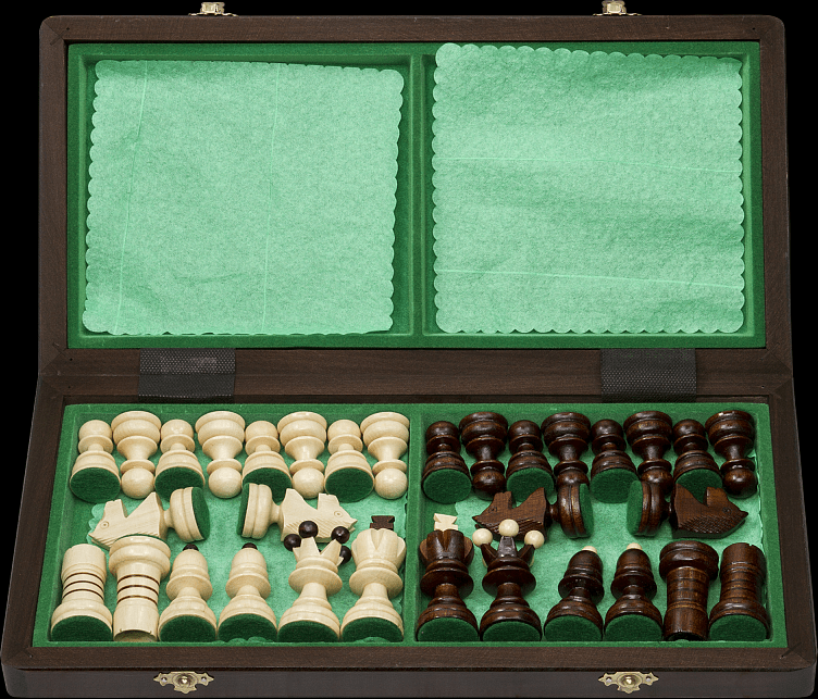 Шахматы "Жемчужина", Madon