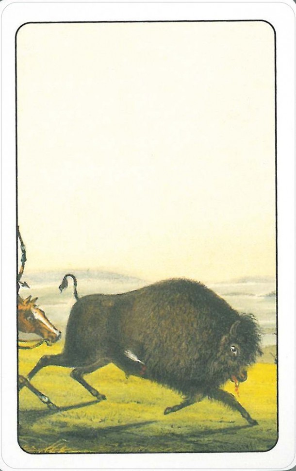 Карты "Native American Playing Cards"