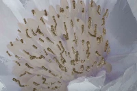 Картины Tomas Stern 85036