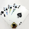 Карты "1546 Plastic Poker Size Jumbo Index orange/brown Double-Deck Set"