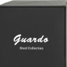 Наручные часы guardo s02424-2