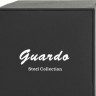 Наручные часы guardo s02408(1)-1