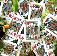 Карты &quot;Infinity playing cards by D3PSY Standard index&quot;