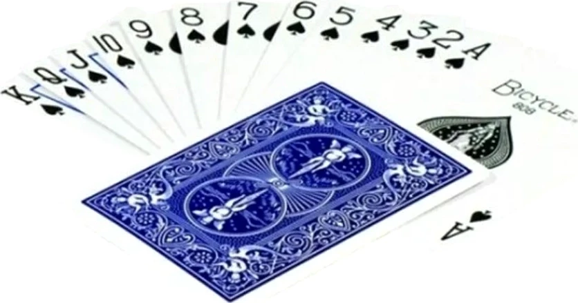 Карты игральные Bicycle Standard комплект из двух колод, красные и синие