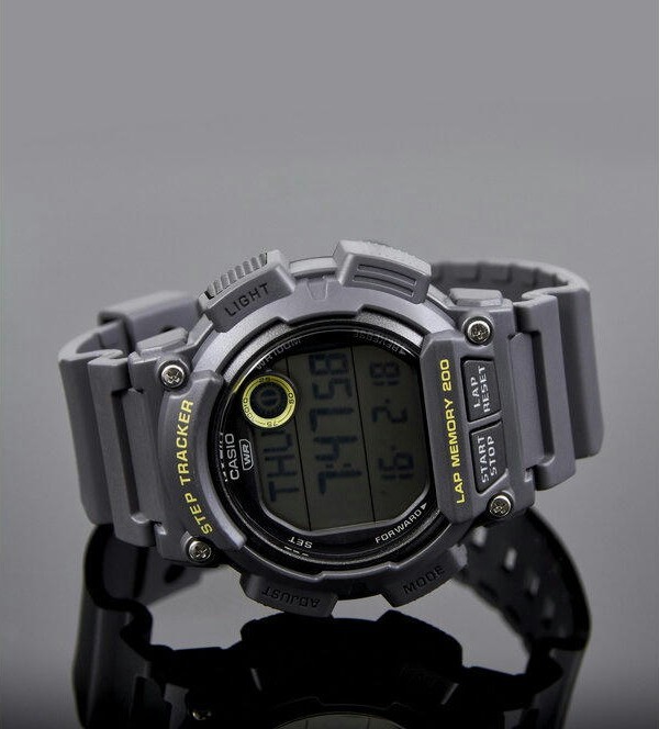 Наручные часы ws-2100h-8a