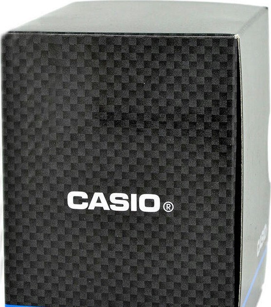 Наручные часы ca-53wf-8bef