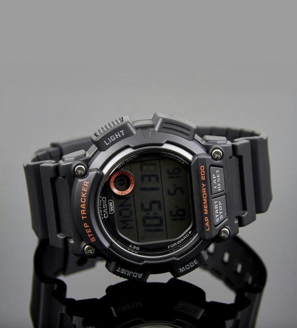 Наручные часы ws-2100h-1a