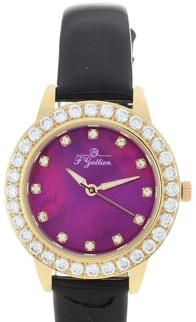 Наручные часы f.gattien 8909-1111ф