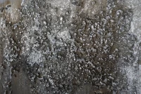 Картины Tomas Stern 85039