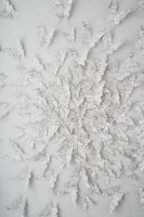 Картины Tomas Stern 83045