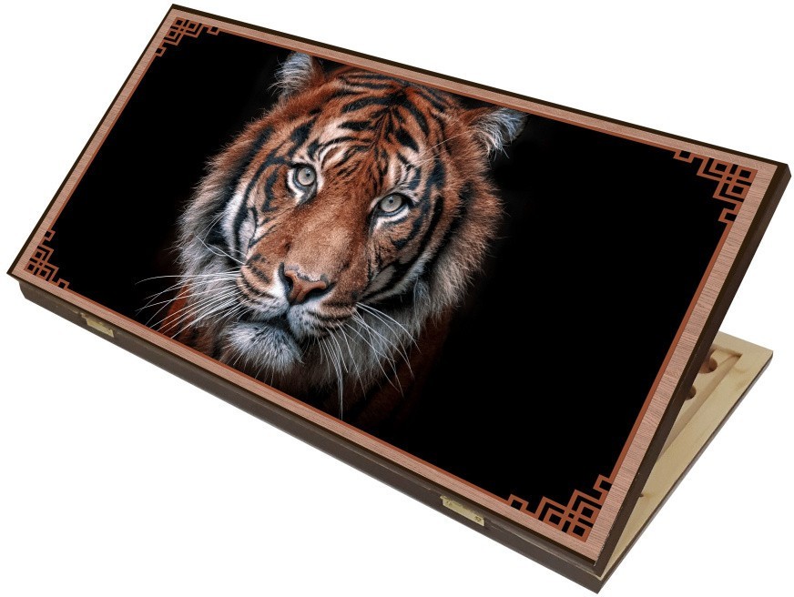 Rastiger50