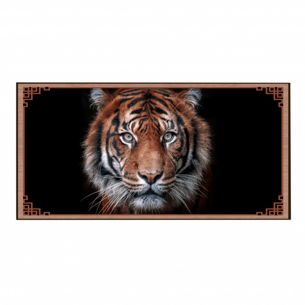 Rastiger50