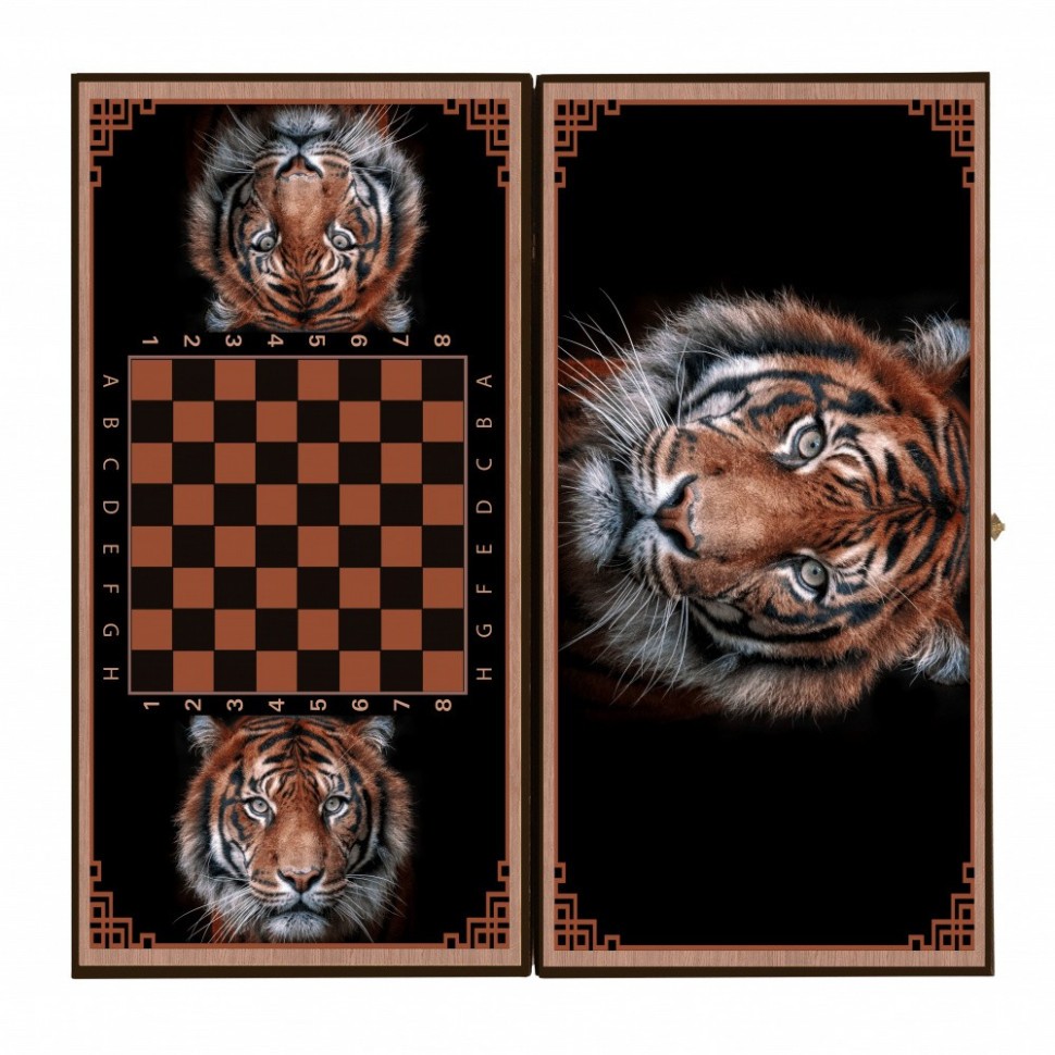 Rastiger50