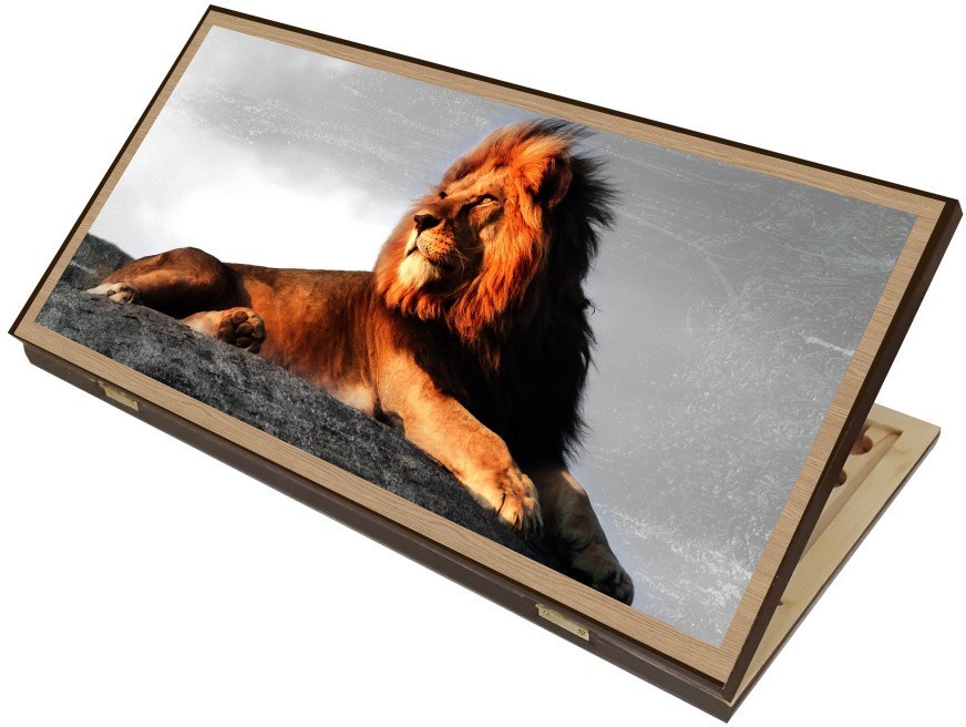 Нарды + Шашки Сирия Лев в Саванне средние (Россия, дерево, 50 см), Partida