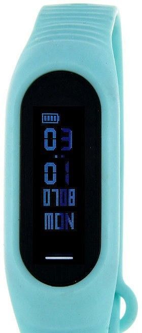 Наручные часы skmei b15p голуб